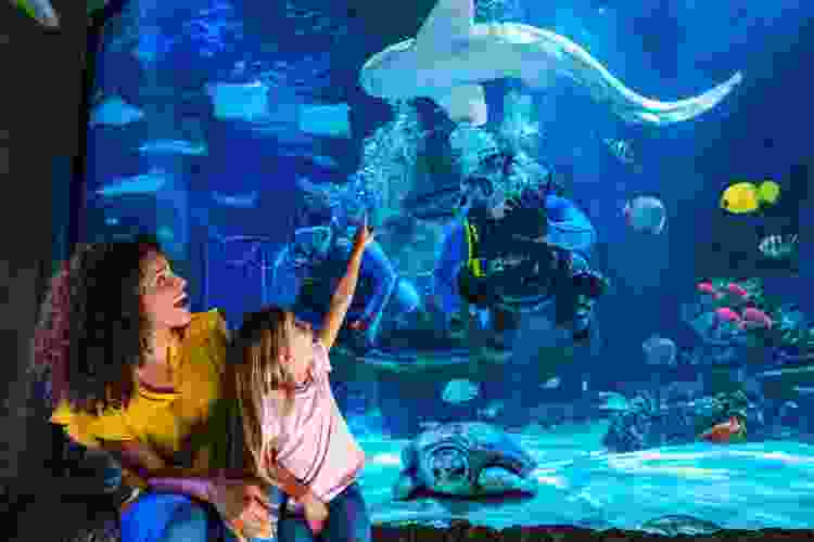SEA LIFE San Antonio
