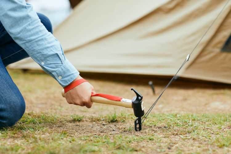 hammering tent peg