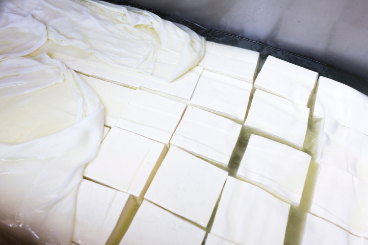 Making Feta in factory