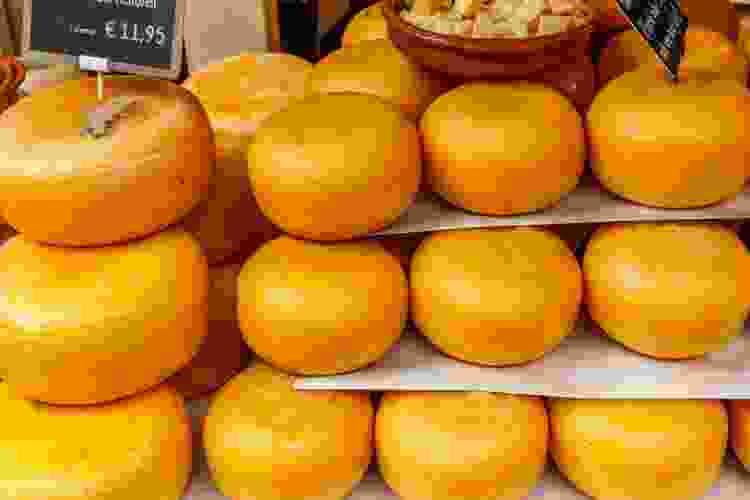gouda