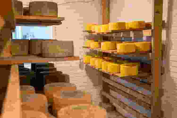Gouda cheese