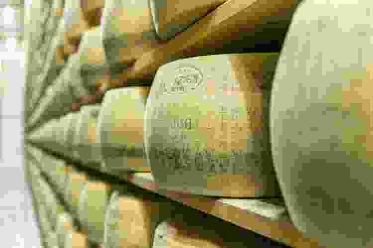 Parmigiano cheese