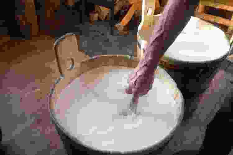 Making Oaxaca cheese