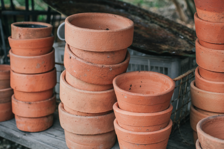 Flower Pots