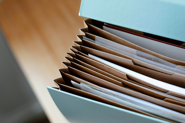 Accordion File Holder