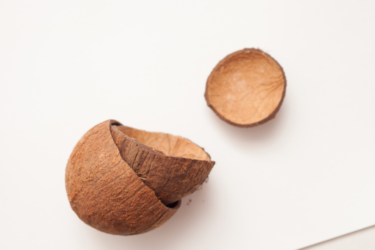 Coconut Shell