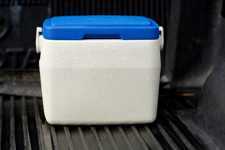 Cooler for an anything but a backpack idea