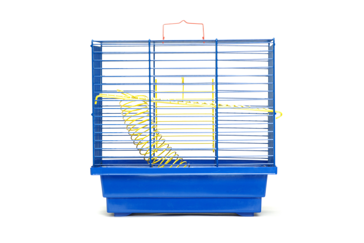 Bird Cage as anything but a backpack idea