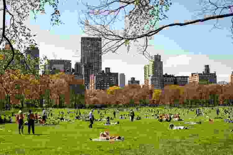 Sheep Meadow