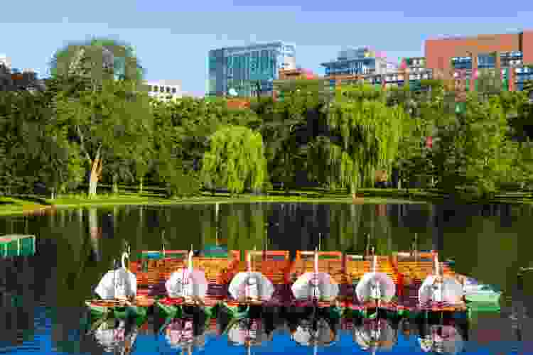 Boston Public Garden