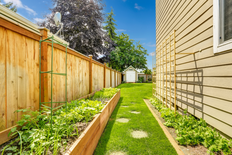 Border Gardens on Fence
