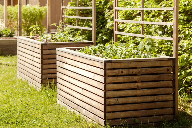 Twin urban raised garden