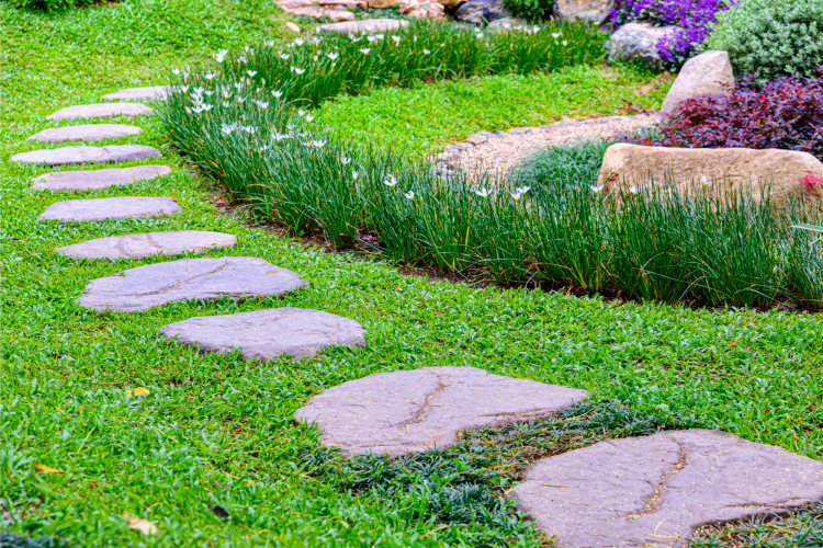 Stone Pathway in a garden