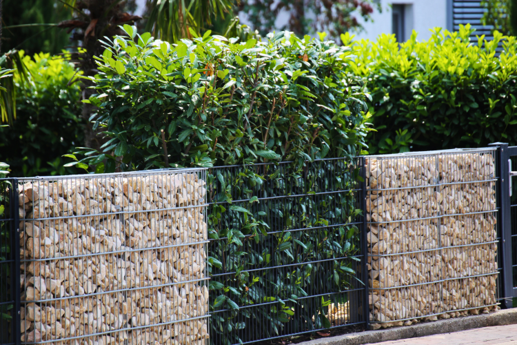 Gabion Feature Wall