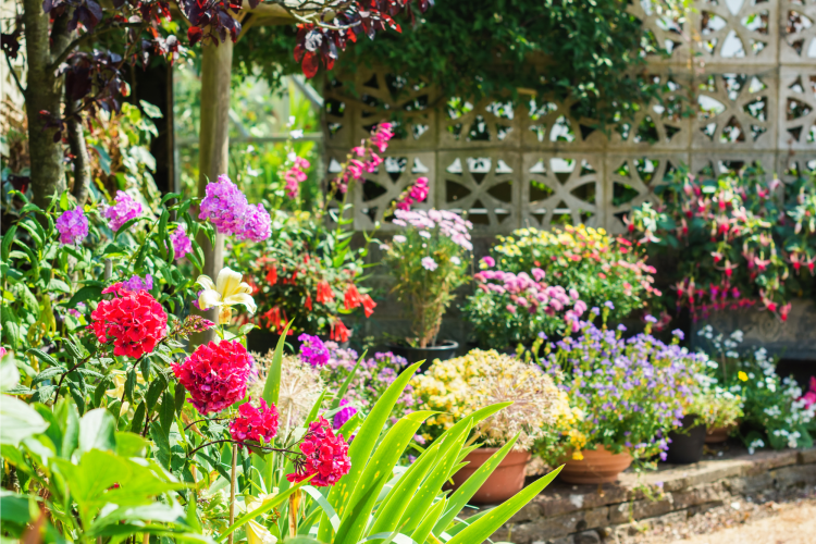 nice garden ideas