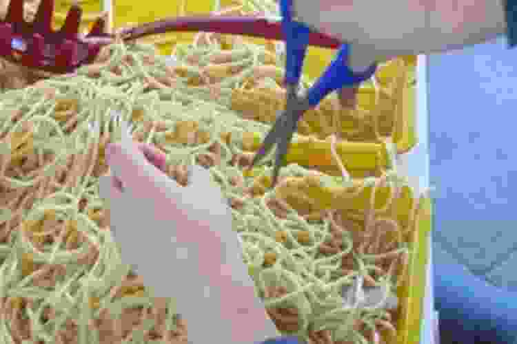 spaghetti sensory bin