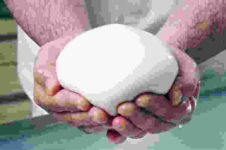 Mozzarella cheese