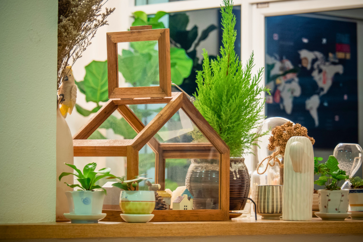 wooden terrarium