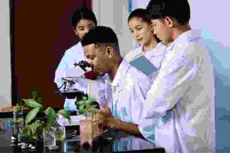 6th grade science