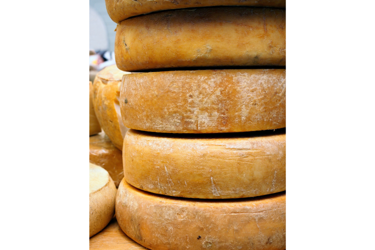 Fontina Cheese Wheels Stacked