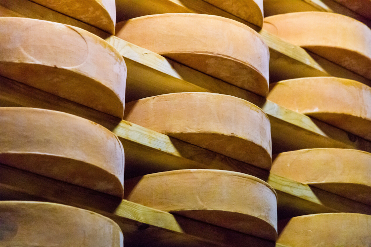 Fontina Cheese Wheels