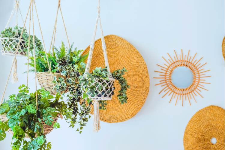 Greenery in a Scandi style interior