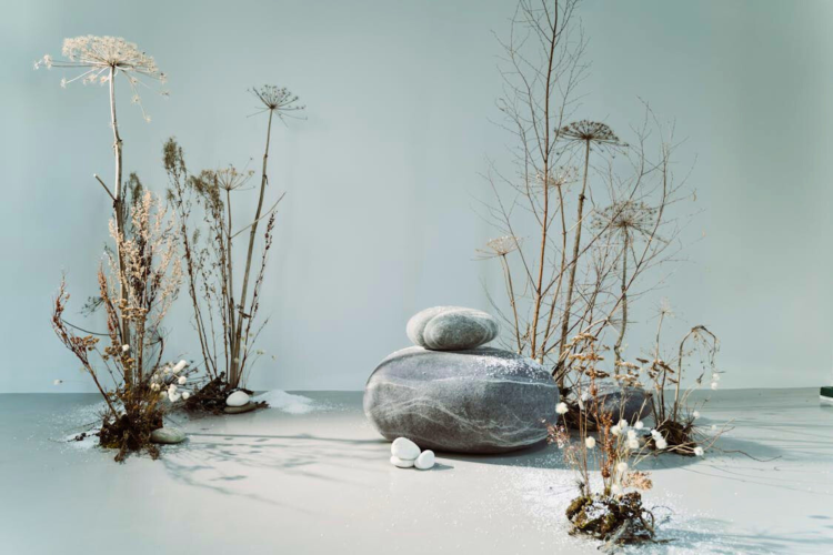 Natural materials as art