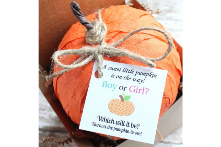 Halloween Gender Reveal pumpkin