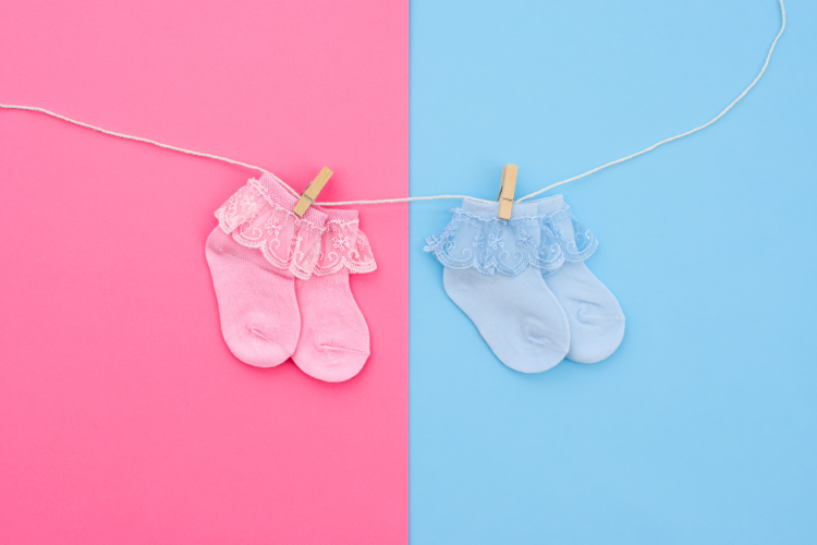 Gender Reveal Booties