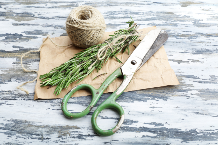 Rosemary Bouquet for bug repellent