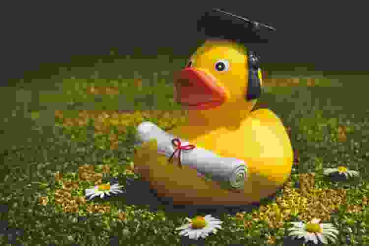 Graduate rubber duck