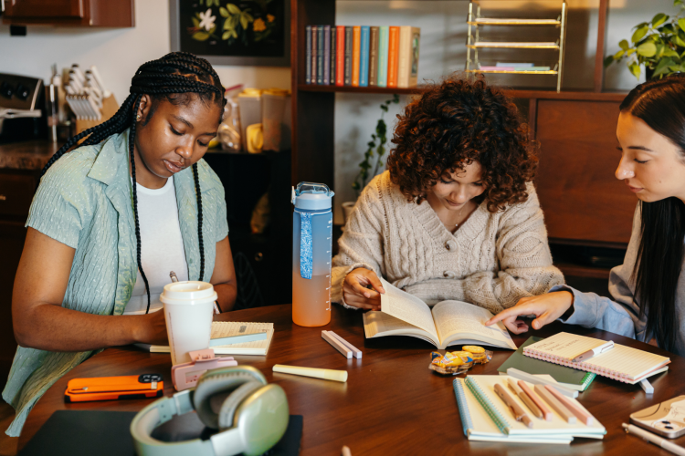 Friends Studying Home