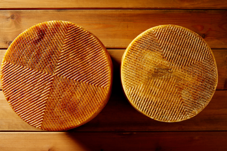 Manchego Cheese Wheels with rind