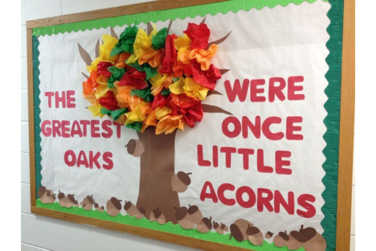 Little Acorns Fall Bulletin Board Idea