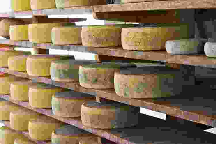 Aging Asiago Cheese