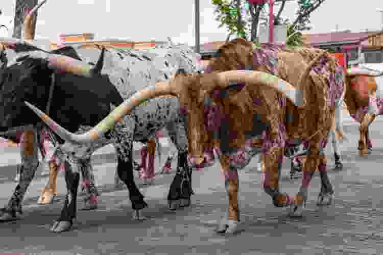 Stockyards