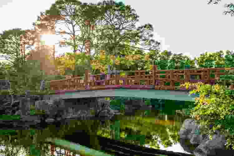 Morikami Museum and Japanese Gardens