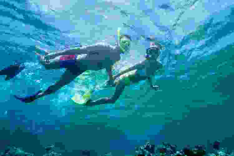 snorkel