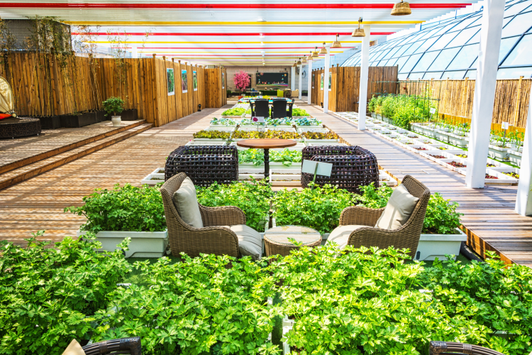 covered lifestyle garden with indoor outdoor living