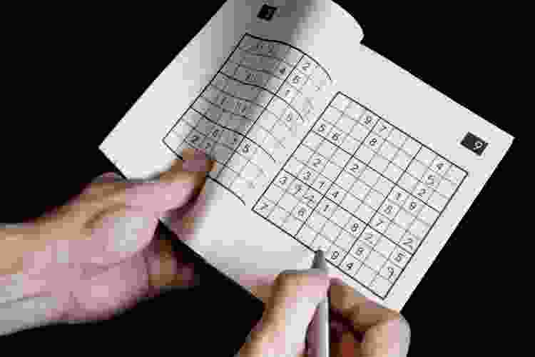 puzzle book