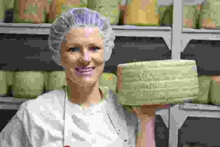 making Romano cheese