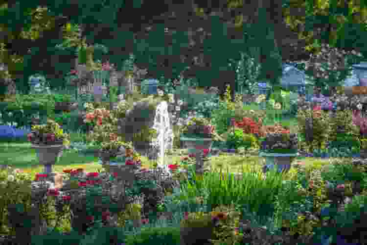 Morris Arboretum