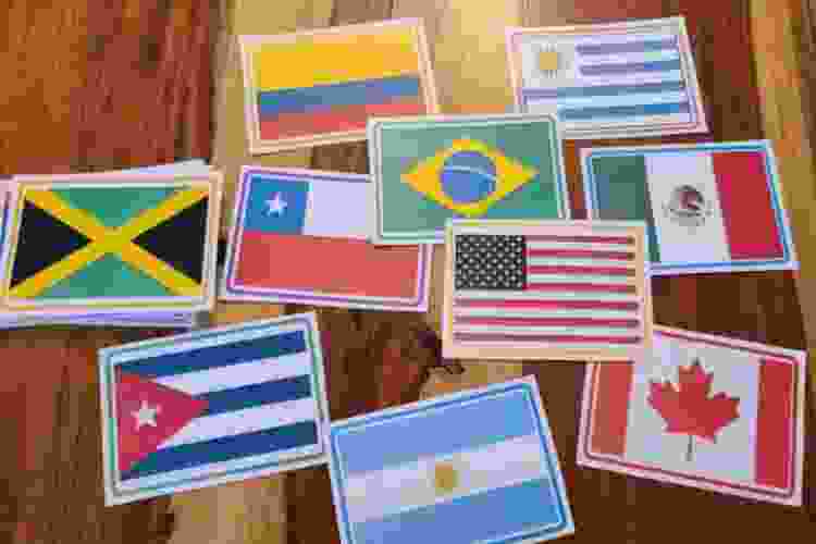 flag game
