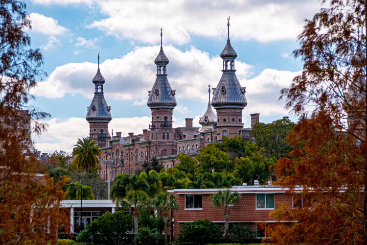 Henry B Plant Museum in Tampa