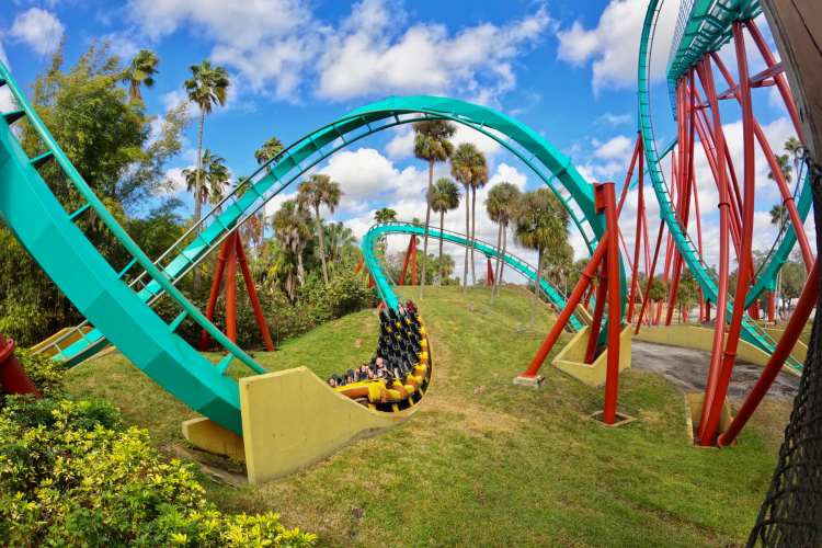 Busch Gardens as date idea in Tampa