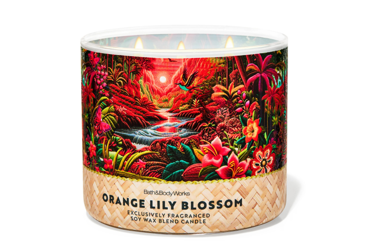 Orange Lily Blossom