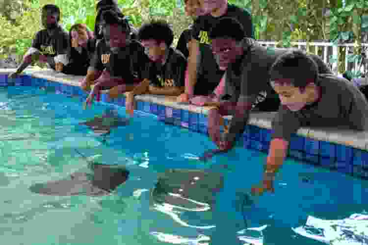 Sandoway Discovery Center