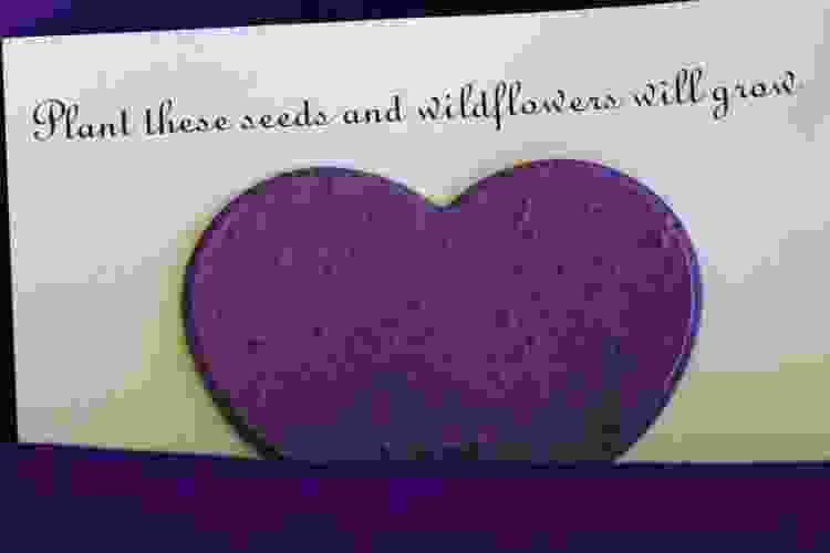 Seed packs
