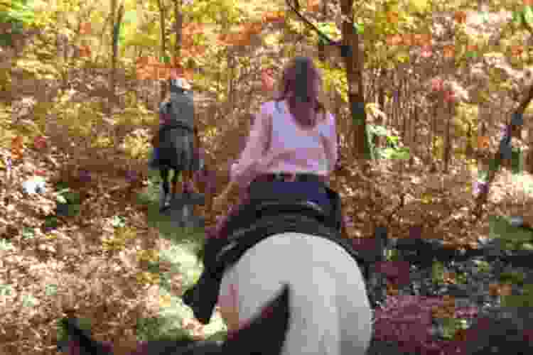 Echo Lake Stables