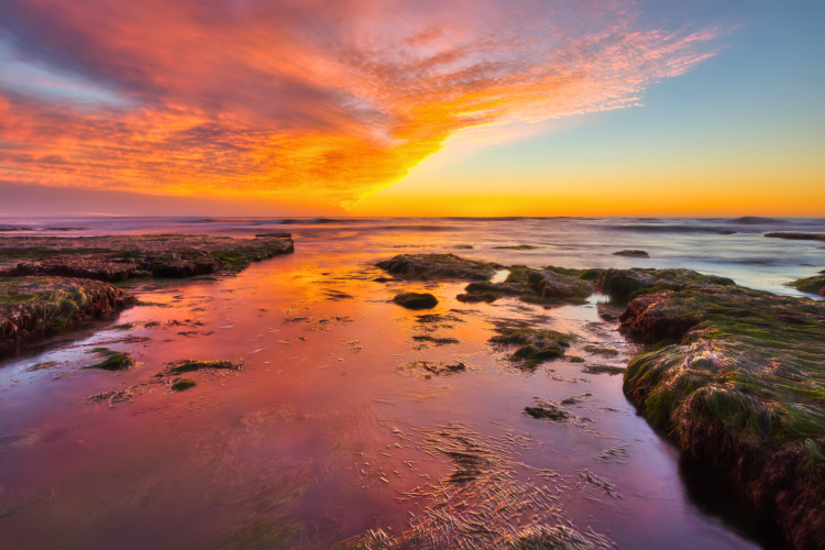Point Loma tide pools